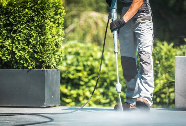 Animal Enclosure Cleaning in Sand Ridge, NY